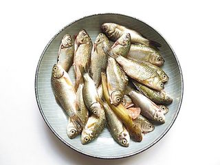 1、家乡特色美食——杂鱼炖小豆饼,准备好杂鱼清洗干净刮去鳞片，多选择小鲫鱼熬鱼锅最香