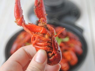 16、麻辣小龙虾,出锅前放入香菜葱花