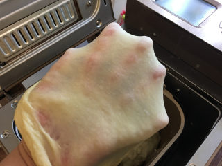 2、淡奶油辫子面包,揉面结束后，面团的状态。