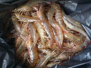 1、营养虾仁健康水果沙拉,新鲜海虾买回家，洗净。