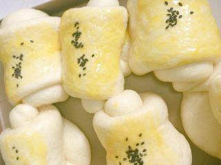 10、超级松软的牛奶小餐包,第二次发酵完成,在表面刷上一层蛋液(材料之外的),撒上适量黑芝麻。烤箱180度预热,烤25分钟左右!
