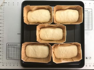 18、黄桃香酥面包,发至面团3倍大。