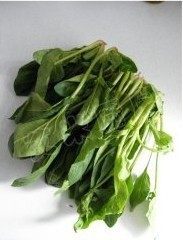 1、姜蒜香汁菠菜,菠菜洗净摘去黄叶