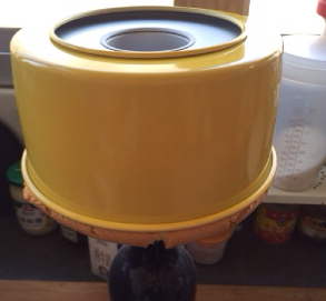 12、拜拜蛋糕,烘烤完成后出炉立即从30CM高处将模具摔在桌面上震出蛋糕内部聚集的热气，迅速倒扣晾凉后脱模