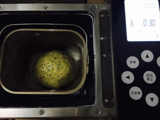 5、胖嘟嘟的面包棒,整形进行发酵.