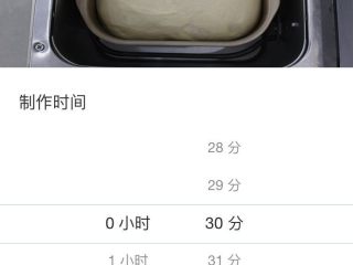 6、胖嘟嘟的面包棒,启动发酵程序30分钟,如果天气够热,就不用面包机,常 温发酵就行.