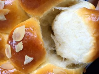 23、椰油小餐包,组织细腻蓬松，不易老化，放两天还是一样的口感