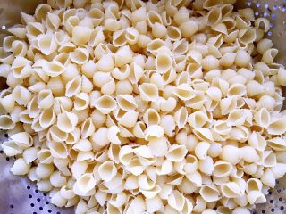 1、蚝油双椒牛肉贝壳面＋#面条变身计划#,超市买的贝壳面。