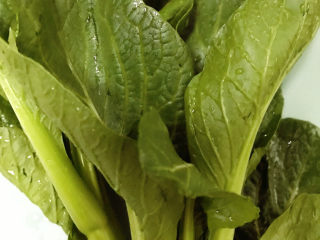 2、青菜炒饭,捞出沥干水分