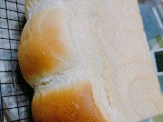 19、奶香吐司,烤好后,立马出炉,烤架凉凉