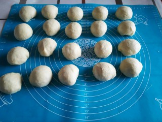 7、红豆小餐包,分成20个相同的圆剂子。