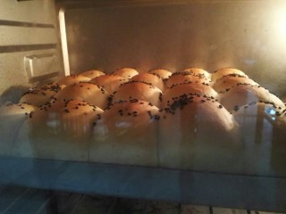 12、红豆小餐包,烤箱200度预热10分钟，然后再200度烤18～20分钟。