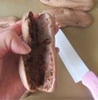 13、与咖啡很搭配的“水果闪电泡芙”,将凉透的泡芙拿刀从中间划开