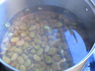 5、怪味胡豆,干蚕豆用水浸泡一晚上