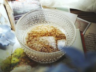 4、营养都在这一碗 糙米减肥沙拉,加入水(没过米即可)