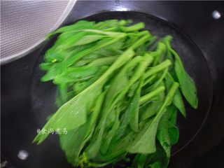 7、白灼菜心,倒入菜心，保持大火煮沸，不要遮锅盖哦
