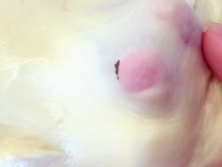 3、麻薯肉松蛋黄酥——详细版,揉出膜，面团成光滑后盖保鲜膜松弛35分钟