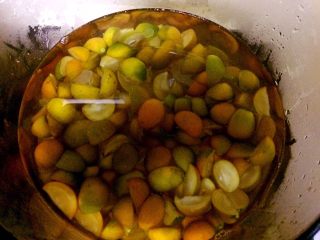8、万能止咳水蜜制金桔,加水，和剩下的冰糖煮