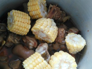 15、≈猪蹄炖玉米≈,10分钟后，把玉米加进去炖煮，还是10分钟，这样炖出来的效果很软烂，满满胶原蛋白