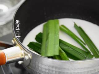 5、香甜可口的芒果糯米饭，在家也能做,放入香兰叶，中小火一边加热一边搅拌直至轻微沸腾，充分融合后倒出备用。