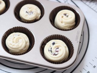 6、蔓越莓椰蓉花朵面包,17.放入模具中