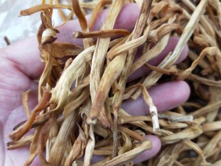 4、营养黄花菜木耳炒肉,准备黄花菜。