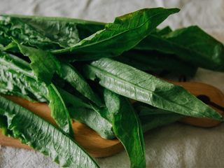 9、高逼格什锦桂林米粉,花生豆出锅后，随后少量油和辣椒，随后加入鱿鱼圈翻炒，随后加入油麦菜，清炒，这个时候可以加入辣酱辣椒，轻微翻炒！即可出锅！