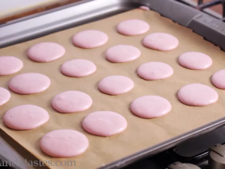 10、玫瑰马卡龙,室温风干半个多小时，直至表皮晾干不粘手