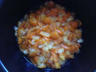 9、金桔酱,我这是腌制了4个小时的状态，金桔已经变软，还出了一些汁水