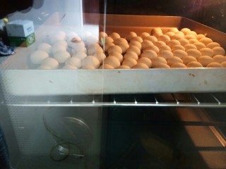 10、旺仔小馒头,七、八分钟后就胀大了。