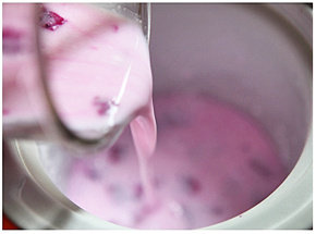 11、火龙果冰淇淋,将冰淇淋混合物倒入冰淇淋机内桶