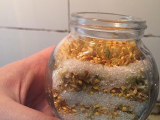 7、自制糖桂花,晾干以后在玻璃瓶底部铺上桂花压实再撒上白糖依次摆放最后一层铺白糖 大功告成