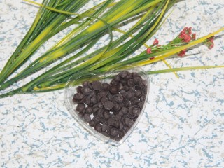 4、巧克力牛奶双色布丁,巧克力豆20g