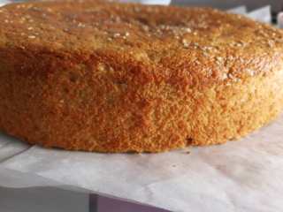 21、枣糕,侧面图