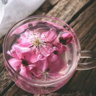 零失败高颜值的桃花冻