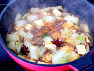 14、白菜豆腐粉条,盖上锅盖继续中火炖煮10分钟。