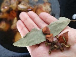 14、红烧鸭肉,放入香叶，八角，花椒粒，姜片。