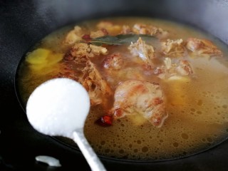 17、红烧鸭肉,放入一小勺盐，盖上盖子文火炖30分。