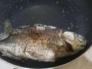 4、鲫鱼浓汤,煎至双面微黄。