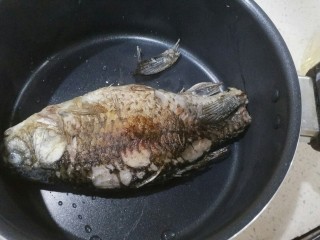 5、鲫鱼浓汤,盛出放到汤锅里。