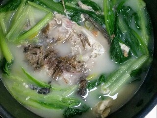 12、鲫鱼浓汤,放入小白菜，（不放也行，我比较喜欢吃菜就放了一些）。