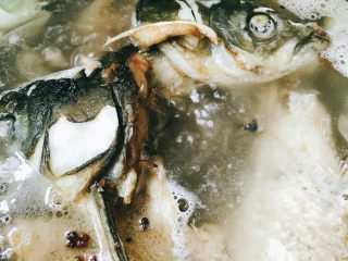 13、鱼头汤,放入鱼头