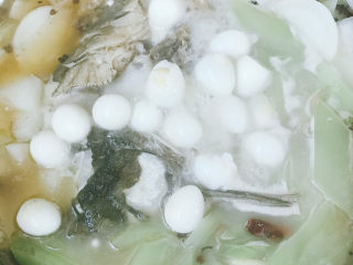 16、鱼头汤,放入剥好壳的鹌鹑蛋