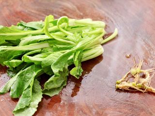 4、上汤豆皮青口小白菜,把小白菜去除根部,用清水浸泡一会儿后冲洗干净。