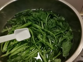 2、蔬菜肉蛋肠,菠菜焯水  水中放入2克盐和芝麻油