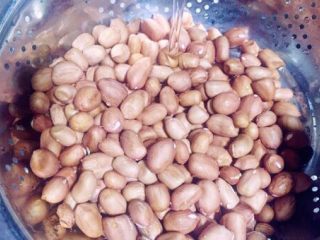 12、补气益血滋补浓汤人参五珍凤肚汤,花生粒洗净沥水