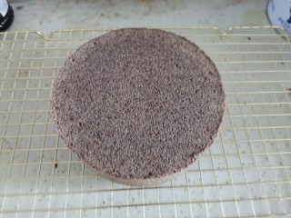 15、粗粮黑米蒸糕（少油少糖）,取出来倒扣晾凉脱模