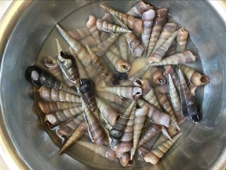 2、辣炒钉螺：海边男人最爱的下酒菜,放凉备用
