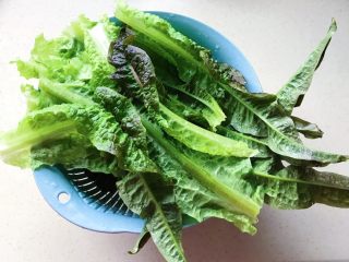 2、一菜二吃-凉拌爽脆莴笋叶,水里冲洗干净，沥干水分备用