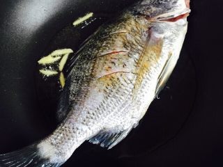 10、美味家烧+红烧鱼,放入腌制好的黑雕鱼小火煎二至三分钟